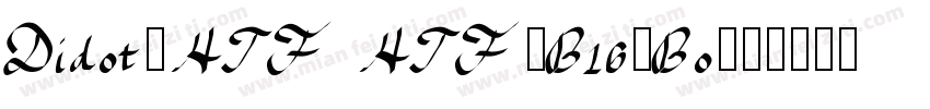 Didot-HTF HTF-B16-Bo字体转换